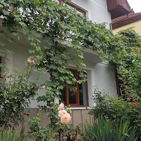 Apartamento Madalina Braşov Exterior foto