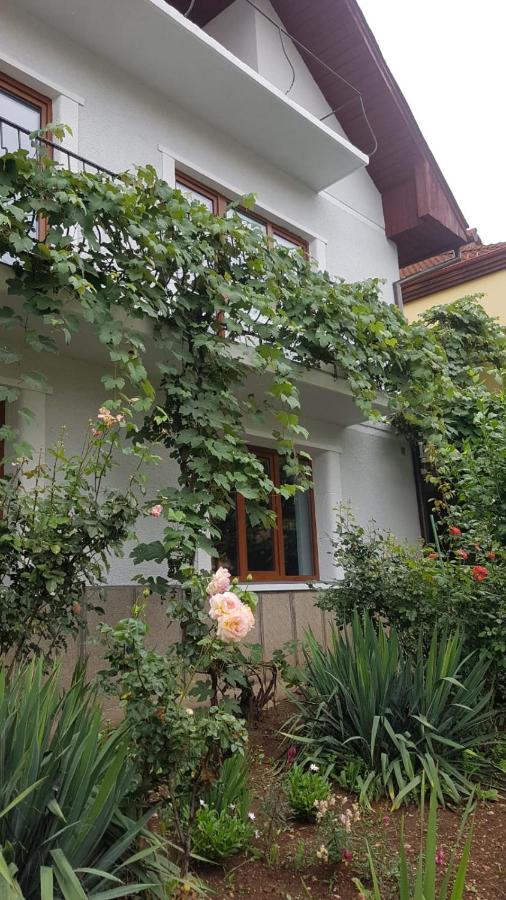 Apartamento Madalina Braşov Exterior foto